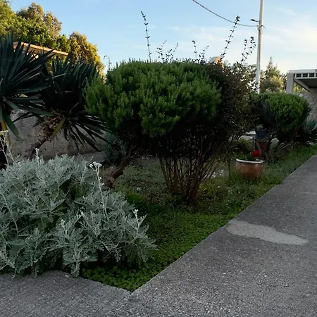 Oliva Apartment Cavtat
