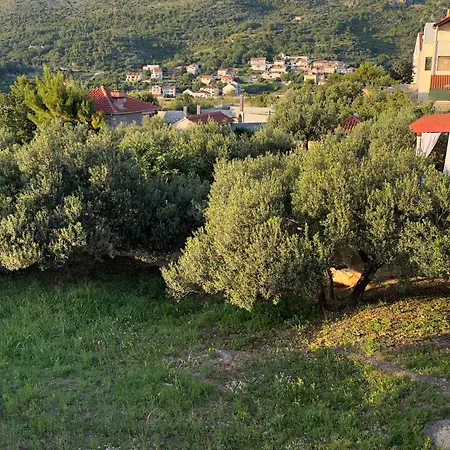 Apartment Oliva