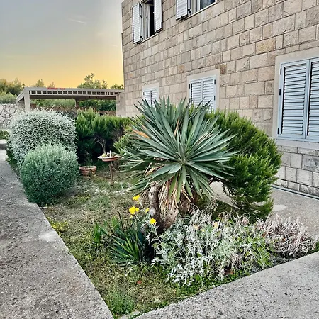 Apartment Oliva